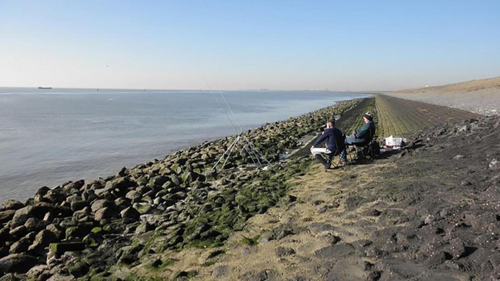 Residentie Oosterschelde Hotell Sint Philipsland Eksteriør bilde
